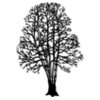 TREE0023